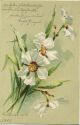 Postkarte - Blumen - signiert B. Raabe - Prägedruck