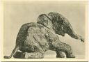 Junger Elefant - Bronze 1937 - Rene Sintenis - Foto-AK