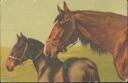 Pferde - Feldpost - Postkarte