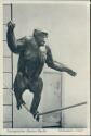 Zoologischer Garten Berlin - Schimpansin Titine