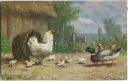 Hühner - Enten - Künstler-Ansichtskarte