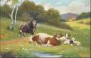 Postkarte - Kühe - Schafe auf der Weide