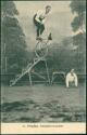Postkarte - Kunstrad - Sport - K. Fritzsche - Dresden-Leuben ca. 1920