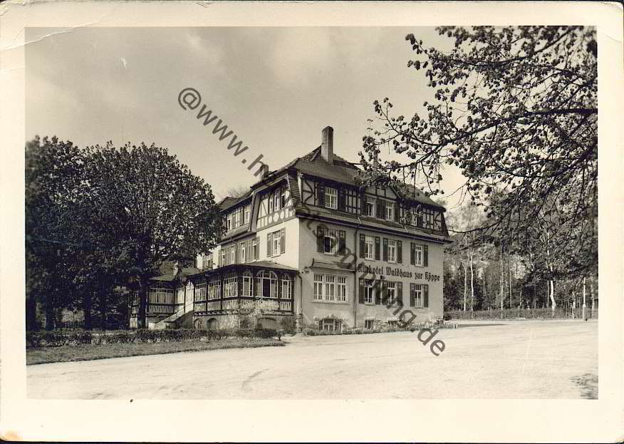 HistorischeAnsichtskartenBadKlosterlausnitz
