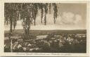 Postkarte - Caputh - Schwielowsee vom Krähenberg aus gesehen 30er Jahre