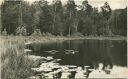 Neuglobsow - Partie am Teufelssee - Foto-AK 60er Jahre