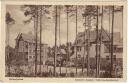 Ansichtskarte - Lychen - Kaiserin-Auguste Victoria-Sanatorium