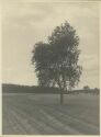 auf dem Weg nach Lutterhof - Foto 8cm x 11cm 1934