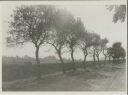 Lipper Land - Foto 8cm x 11cm 1937
