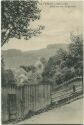 Postkarte - Altenau im Oberharz - Blick von der Bergstrasse ca. 1910