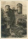 Ansichtskarte - Aufstieg zur Burg Schwalbennest