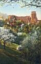 Ein Blütengruss aus Heidelberg - Ansichtskarte