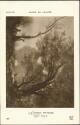 CPA - J. P. Corot - Paysage