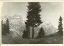 bei Cortina - Sorapis und Antelao 1935 - Foto 8cm x 11cm