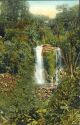 Postkarte - Tropischer Bergwald mit Wasserfall bei Moschi
