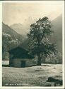 Ansichtskarte - Schweiz - Kanton Graubünden - Motiv in Soglio Bergell