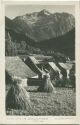 Valle de Aran - Arties y el Montart - Foto-AK 50er Jahre