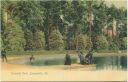 Postcard - Florida - Jacksonville - Riverside Park
