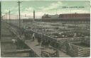 postcard - Chicago - Stock Yards