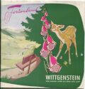 Wittgenstein 1955 - 20 Seiten mit 34 Abbildungen