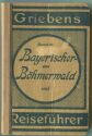 Bayrischer- und Böhmerwald 1926 mit Regensburg
