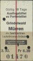 Ausflugsbillet zu Ferienbillet Grindelwald Mürren via Zweilütschinen 1/2 Preis Fahrkarte 1973 Fr. 6.20