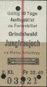 Ausflugsbillet zu Ferienbillet Grindelwald Jungfraujoch via Kleine Scheidegg und zurück - Fahrkarte 1970 Fr. 32.40