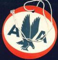 Baggage strap tag - AA American Airlines