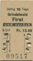BGF - Grindelwald First und zurück - Fahrkarte