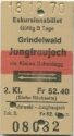 Grindelwald Jungfraujoch via Kleine Scheidegg und zurück - Exkursionsbillet - Fahrkarte