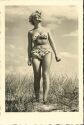 Sonnenanbeterin - Bikini-Mode der 50er Jahre