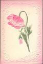 Postkarte - Rose - Prägedruck 