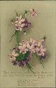 Ansichtskarte - Blumen - Veilchen