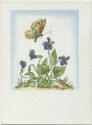 Veilchen - Schmetterling - Künstlerkarte