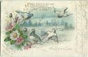 Postkarte - Blumen - Gänseblümchen