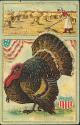 Ansichtskarte - Glückwunsch - Thanksgiving - Truthahn