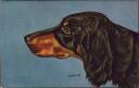 Postkarte - Gordon Setter - signiert Franz Kiefer 1908