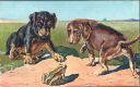 Zwei Hunde Welpen und ein Frosch - Ansichtskarte