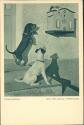 Hunde - Briefkasten - Katze - Unerreichbar - Postkarte