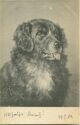 Hund - Künstlerkarte C. Reichert