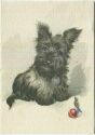 Terrier - Künstlerkarte E. Dermitzel - Kunstverlag E. A. Schwerdtfeger