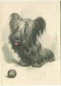 Terrier - Künstlerkarte E. Dermitzel - Kunstverlag E. A. Schwerdtfeger
