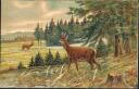 Postkarte - Jagd - Hirsch im Wald