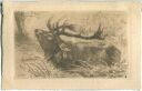 Jagd - Künstlerkarte M. Cl. Crncic ca. 1900