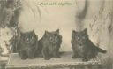 Katzen - Trois petits négrillons
