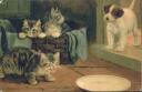 Ansichtskarte - drei kleine Katzen und ein Hund