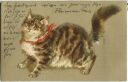 Postkarte - Katze - Prägedruck