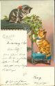 Katzen - Fussbänkchen - Glimmer - Postkarte