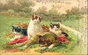 Postkarte - Katzen im Gras - Prägedruck
