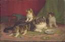 Katzenfamilie - Katzenmama und drei Junge - Postkarte